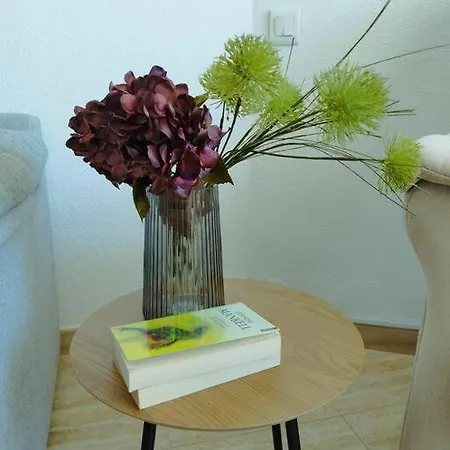 Rent4 Malaga Tamarindo Daire