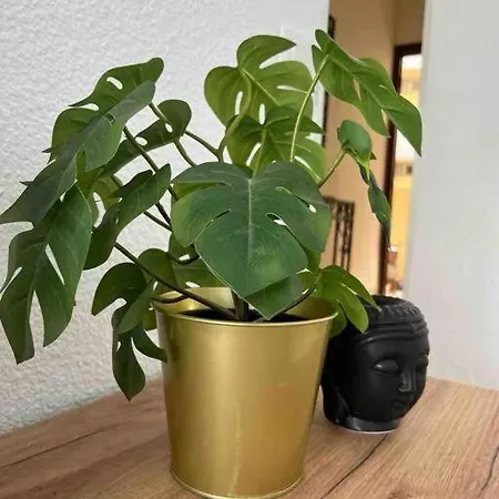 Rent4 Malaga Tamarindo Daire *